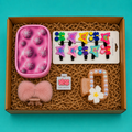 Blossom Girls Cute Hair Accessories Gift Hamper